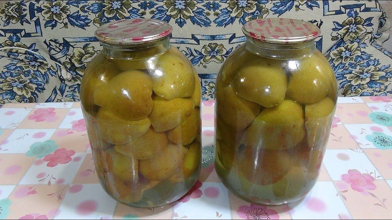 Компот из груш на зиму: рецепты на 3 литровую банку