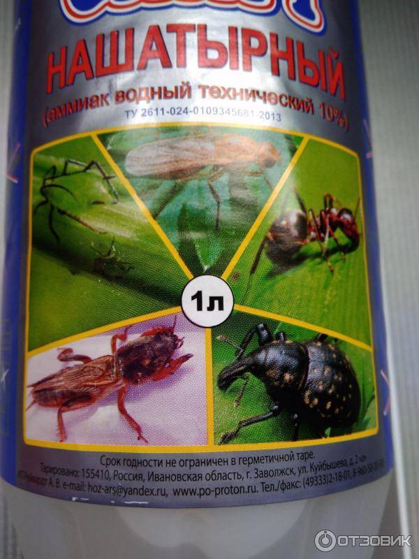 Нашатырный спирт от насекомых: 5 способов применения