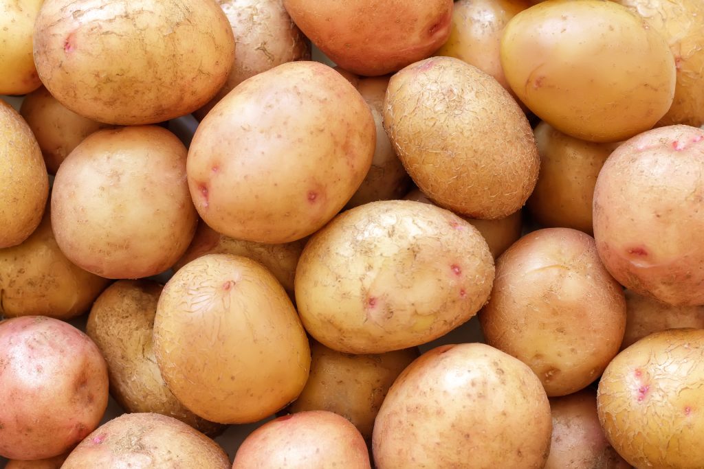 Картофель жуковский: фото, подробная характеристика этого раннего семенного сорта картошки, а также описание особенностей посадки, ухода и сбора урожая