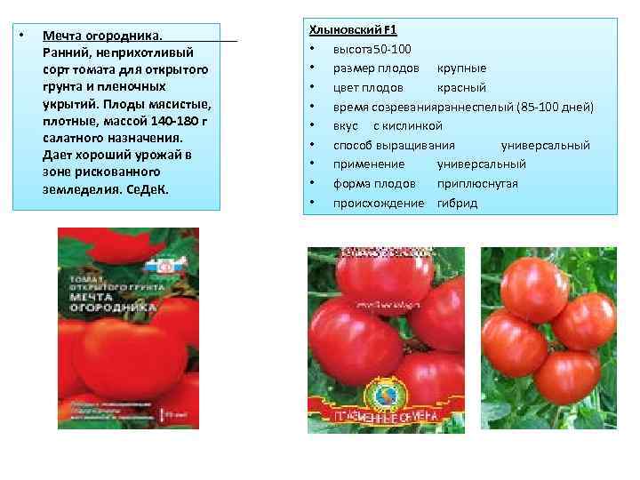 Лучшие томаты 2022 года: отзывы, фото, описание
