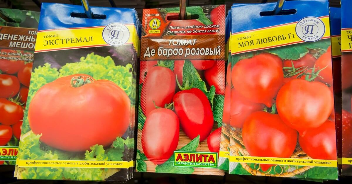 Описание сорта томата тимофей, его характеристика и урожайность