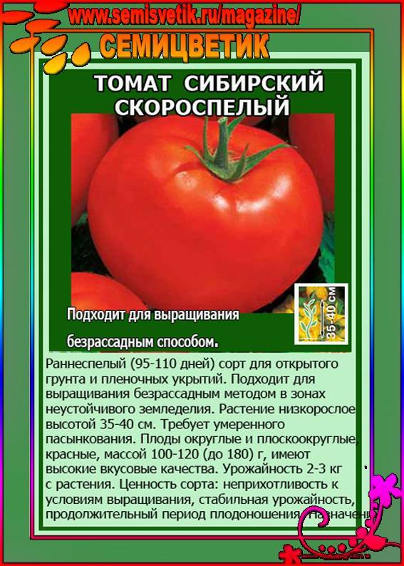 Томат сибирский скороспелый: характеристики, урожайность, особенности выращивания и ухода | садоводство и огородничество
