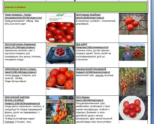 Красный петух томат — характеристика и выращивание сорта помидоров
