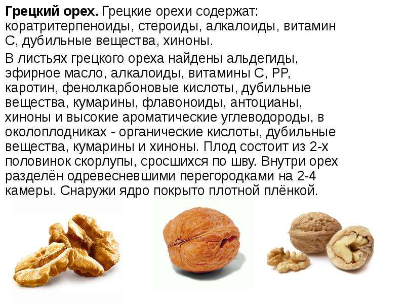 Грецкий орех – польза, вред, применение в народной медицине - медицина на "добро есть!"