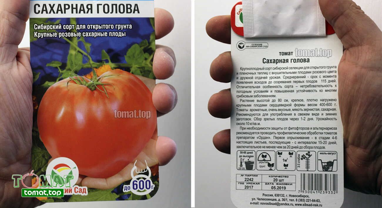 Характеристика и описание томат «сахарная настасья»