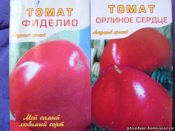 Томат фиделио: отзывы тех кто сажал помидоры об их урожайности, характеристика и описание сорта, фото семян сибирский сад | сортовед