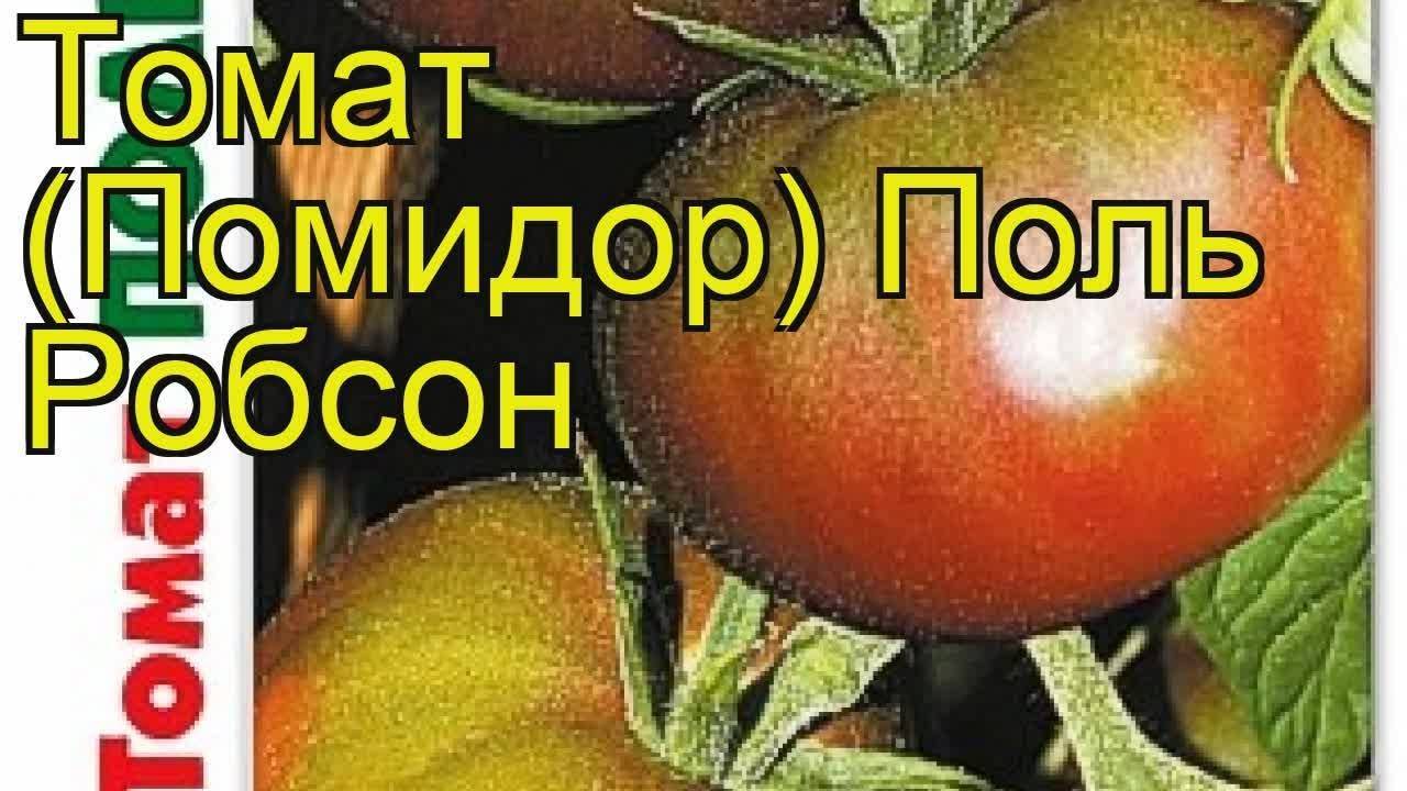 Описание томата поль робсон и правила выращивания