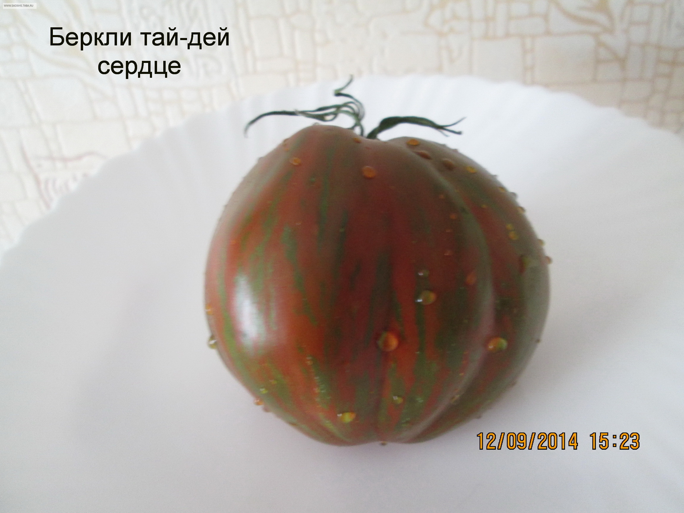 Томат беркли тай дай хаат: описание сорта пинк, отзывы об урожайности помидоров и фото плодов