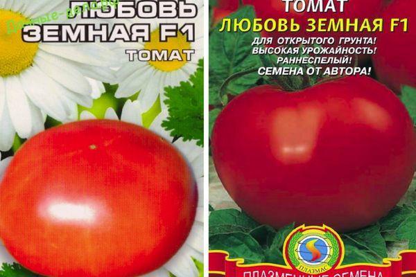 Болгарский крепыш — томат мамина любовь: описание сорта, фото и отзывы об урожайности