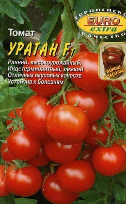 Описание томата Ураган f1 и агротехника выращивания гибрида