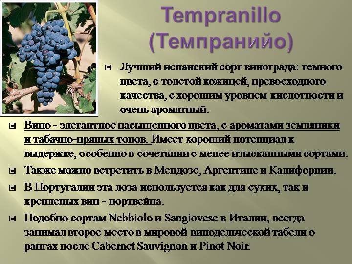 Описание испанского сорта винограда гарнача и характеристики выращивания и ухода