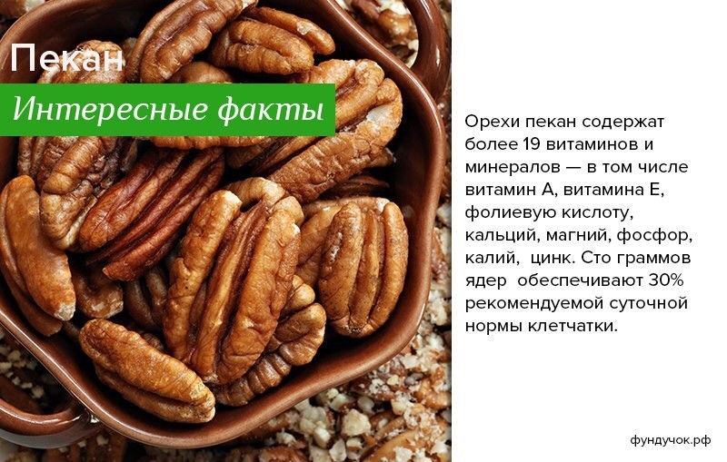 Грецкие орехи: польза и вред для организма | азбука здоровья
