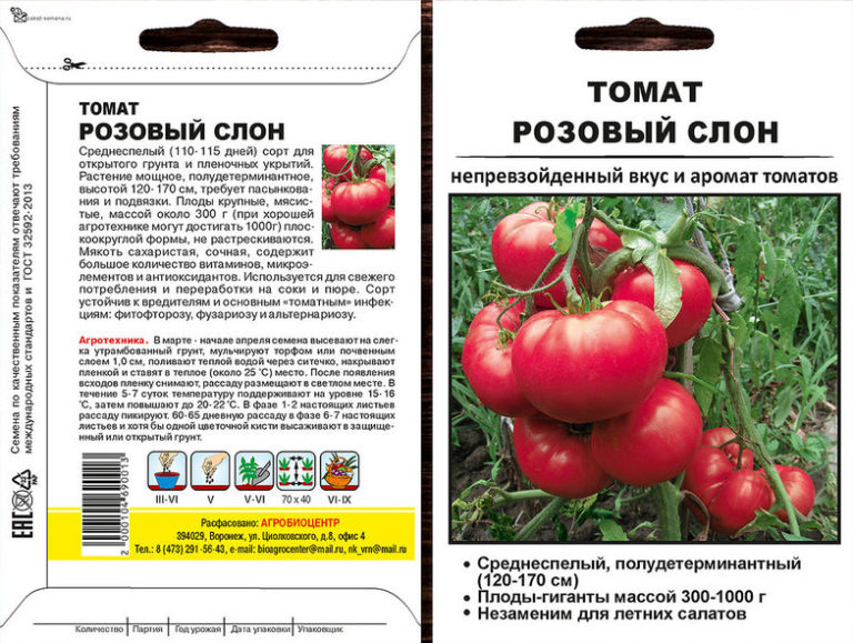 Описание и правила выращивания томата розовый гигант