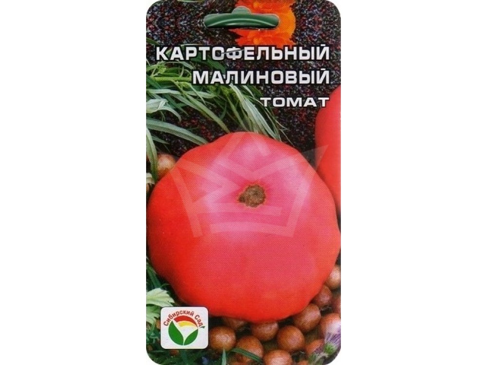 Томат картофельный малиновый: отзывы, фото, урожайность | tomatland.ru