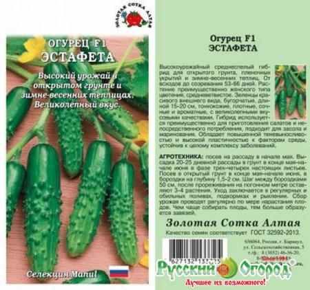 Характеристика огурцов сорта Эстафета, выращивание и урожайность