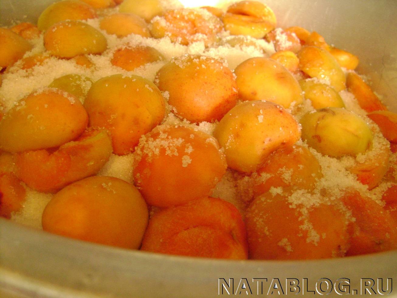 Как заморозить абрикосы на зиму: рецепты, способы, рекомендации - samchef.ru