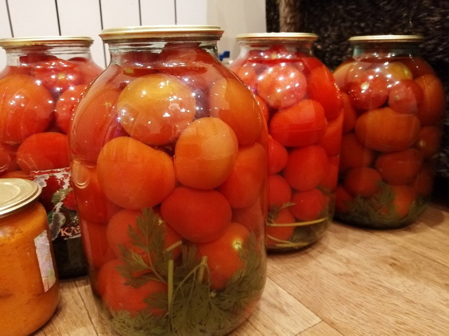Почему мутнеет рассол в маринованных огурцах и помидорах