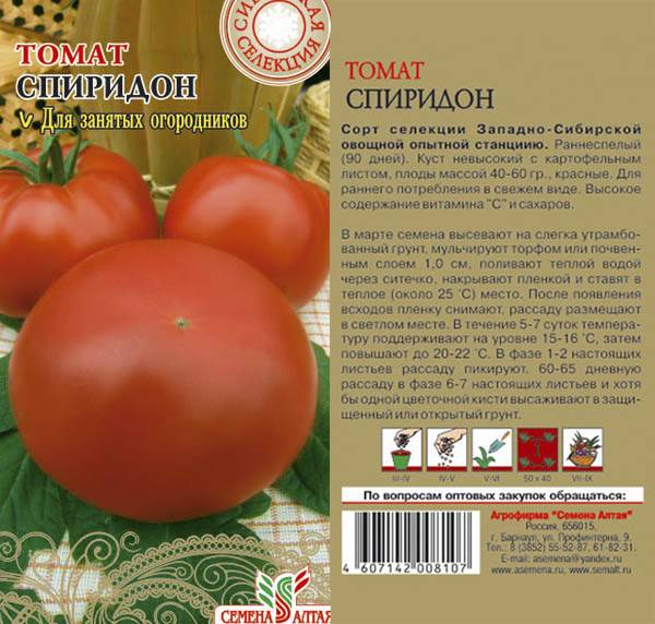 Томат гордость сибири: характеристика и описание сорта, урожайность с фото