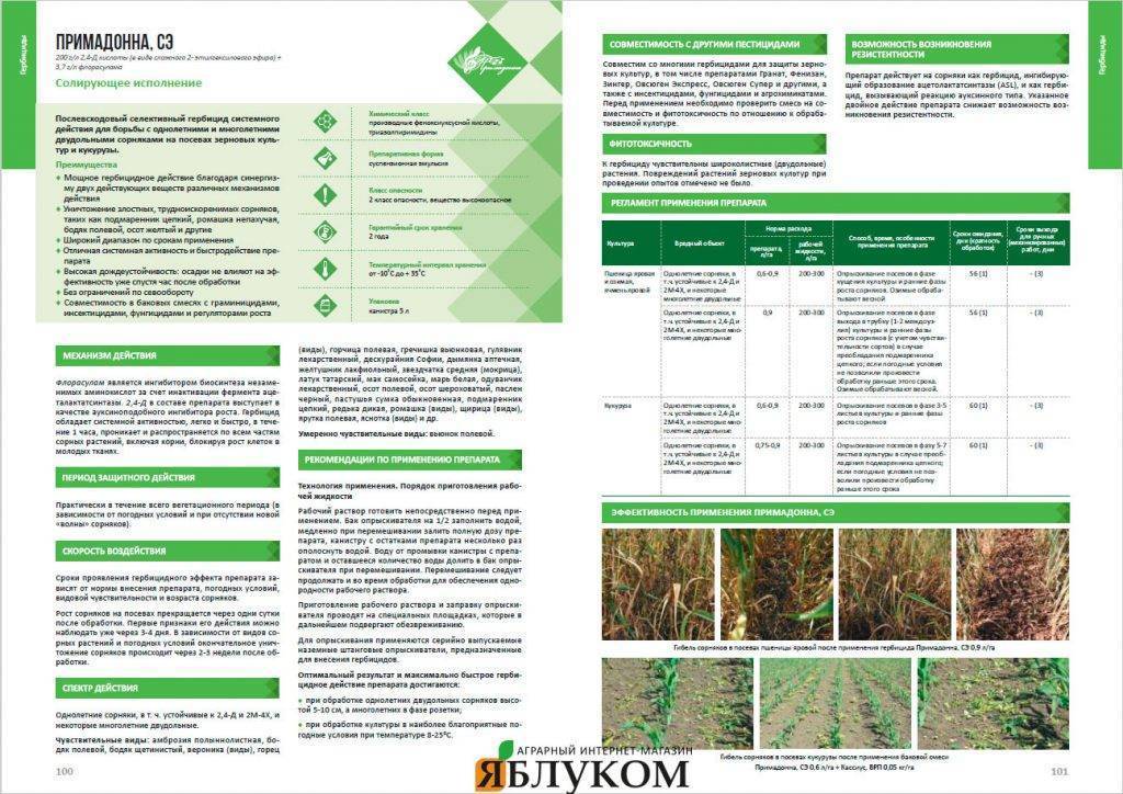 Гербицид по кукурузе: правила обработки и описания 7 лучших почвенных препаратов