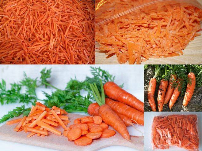Можно ли заморозить на зиму тертую морковь свежую и в вареном виде, а также как сохранить в камере холодильника корнеплод целиком? русский фермер