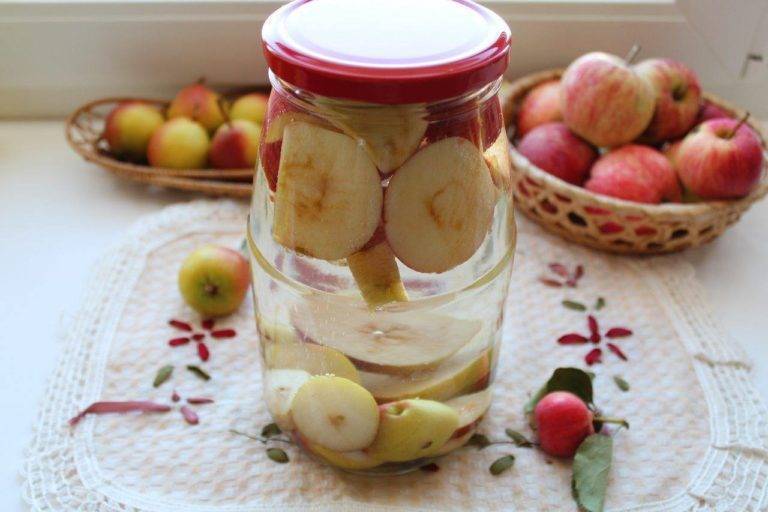 Компот из яблок на зиму и на каждый день: рецепты из свежих плодов