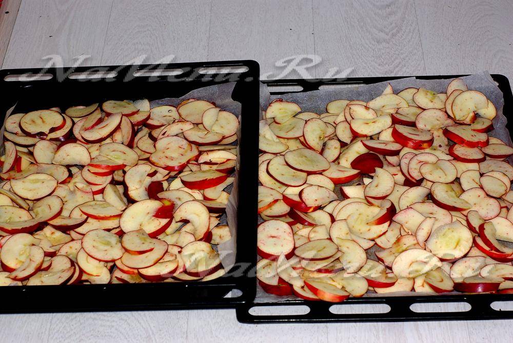 Как правильно сушить яблоки: подготовка, способы сушки. хранение сушеных яблок
