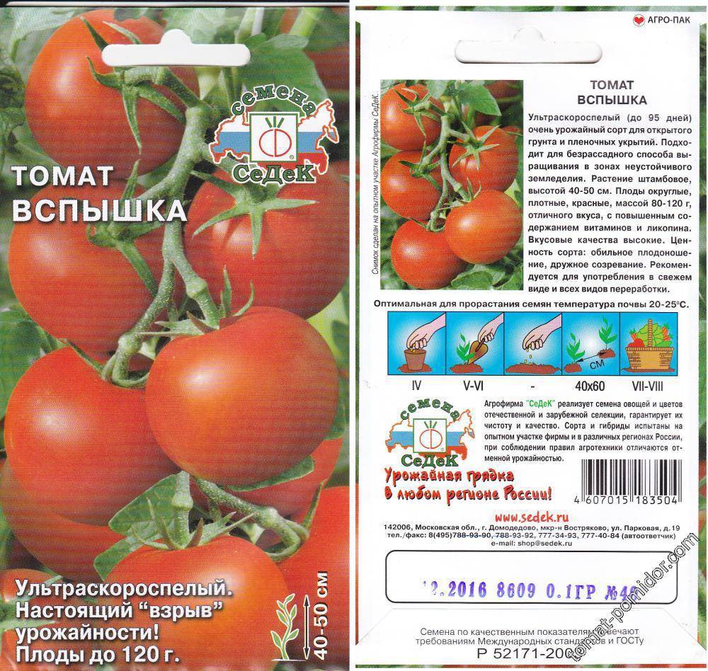 Характеристика и описание томата Вспышка, агротехнические правила выращивания