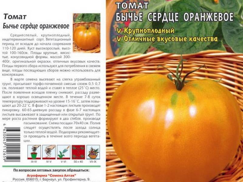 Томат оранжевый русский 117: характеристика и описание сорта, урожайность, фото, отзывы