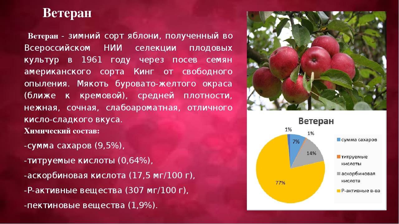 Описание сорта яблони спартак: фото яблок, важные характеристики, урожайность с дерева