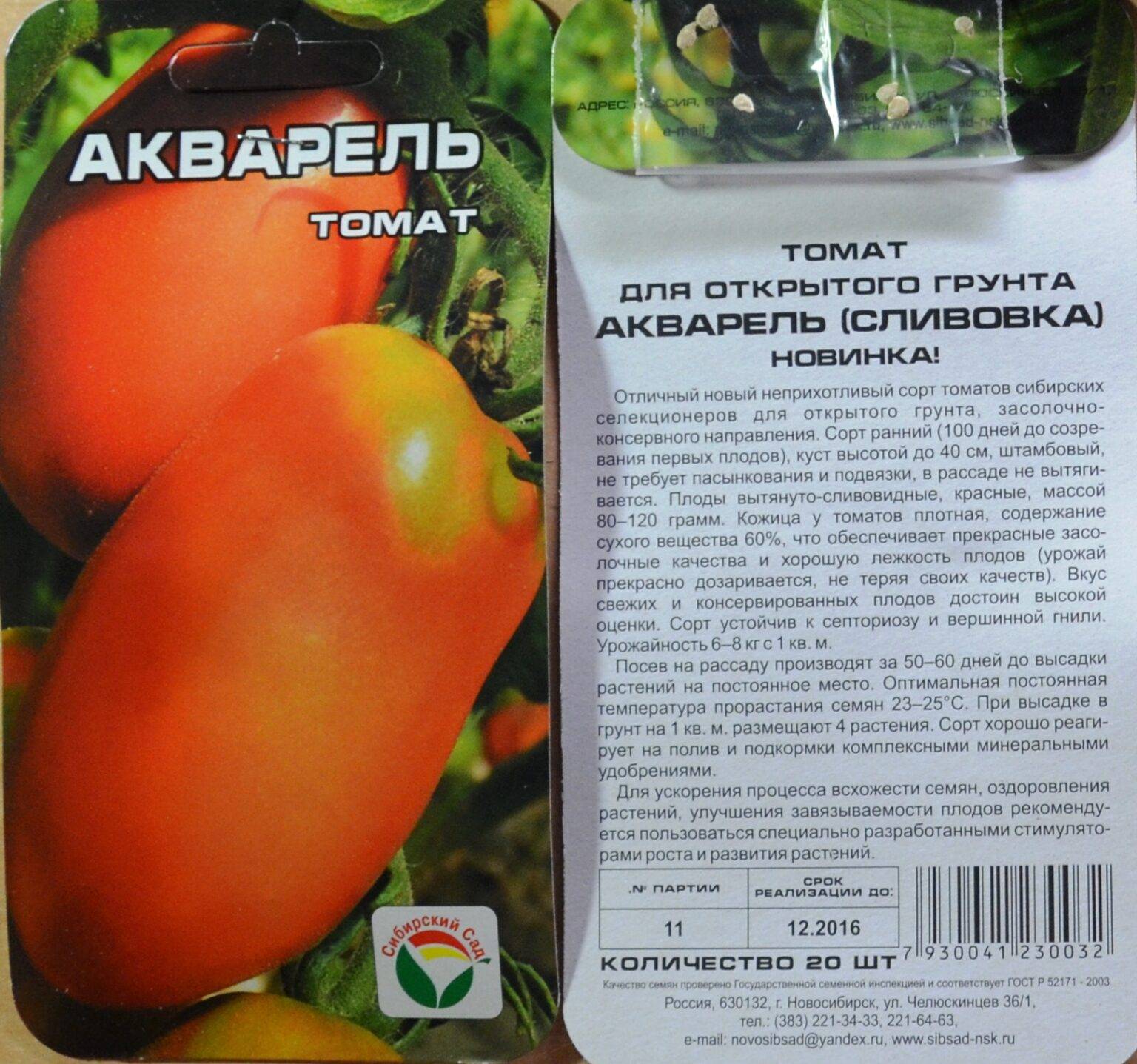 Описание томата Акварель, характеристика плодов и особенности выращивания