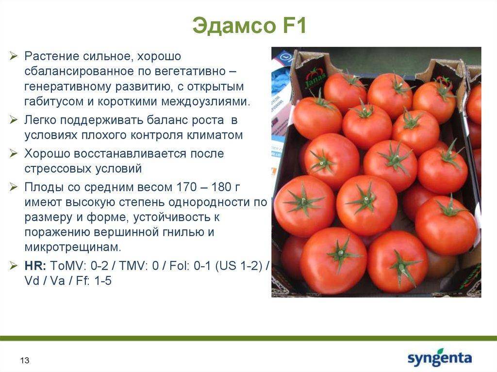 Томат энерго f1: характеристика и описание сорта семян агросемтомс, отзывы об урожайности помидоров, фото куста в высоту