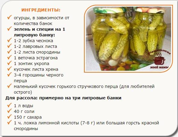 Соленые огурцы на зиму в банках (рецепты вкусных и хрустящих огурцов)