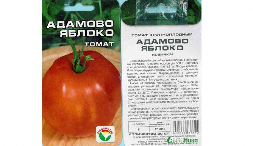 Томат сибирское яблоко: характеристика и описание сорта, урожайность, отзывы