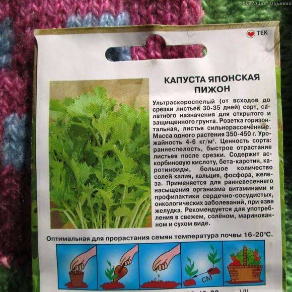 Капуста декоративная: описание с фото, размножение, особенности выращивания и правила ухода - sadovnikam.ru
