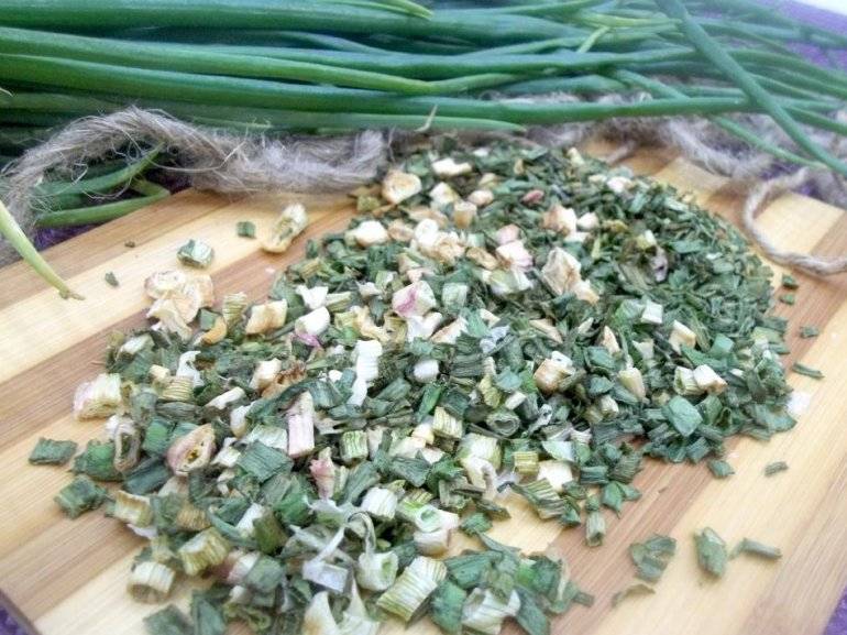 Как заготовить и сохранить зеленый лук на зиму: классика и современные рецепты