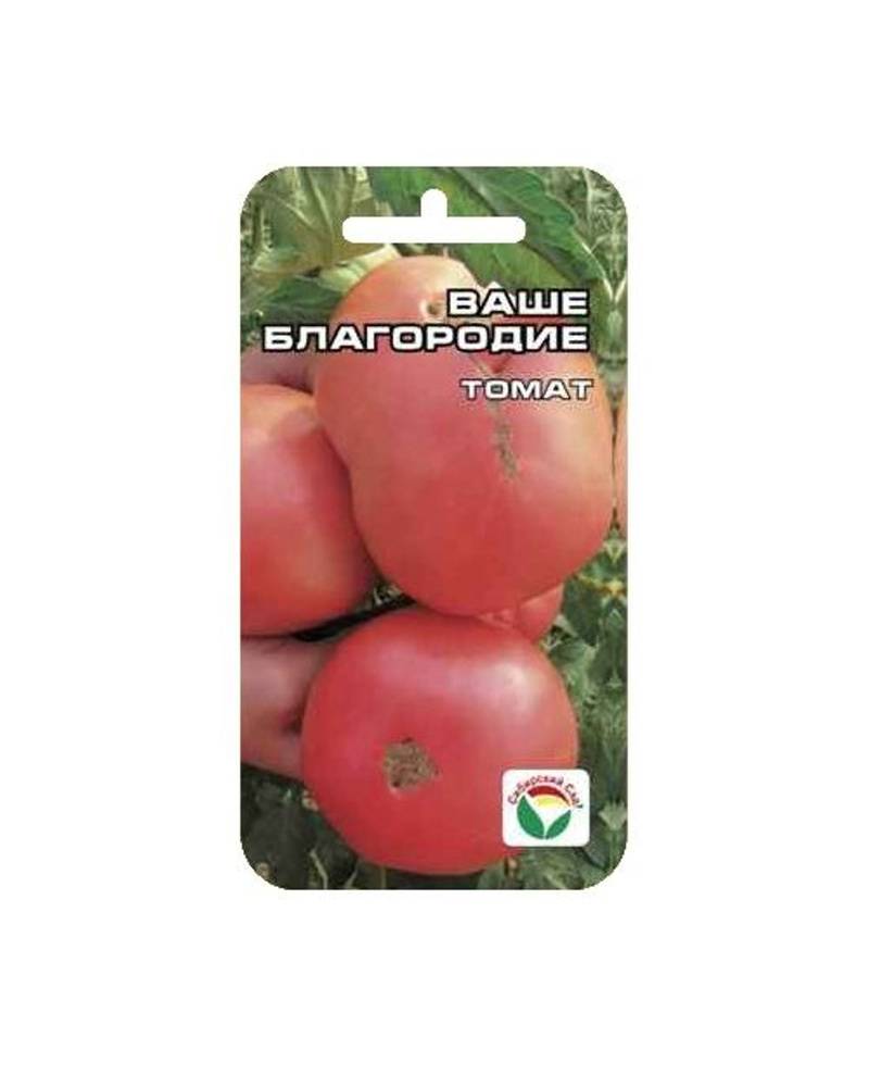 Томат ваше благородие: характеристика и описание сорта от агрофирмы партнер, фото помидоров, отзывы об урожайности растения