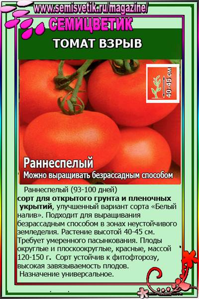 Беззрассадный способ посадки томатов: подходящие сорта, правила агротехники, плюсы и минусы метода selo.guru — интернет портал о сельском хозяйстве