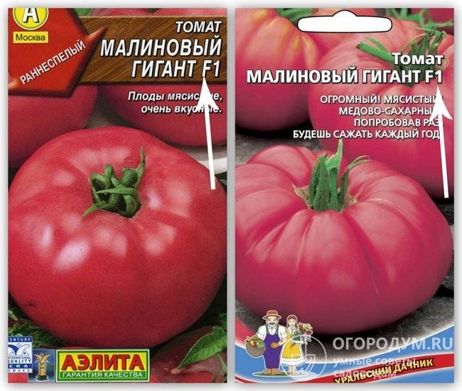 Томат ягода-малина f1: характеристика и описание сорта, фото семян, отзывы об урожайности помидоров