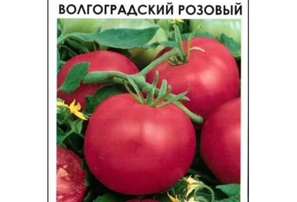 Томаты для ростовской области: семена лучших сортов для открытого грунта с фото