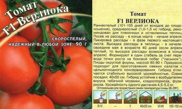 Описание сорта томата Верлиока, особенности выращивания и ухода