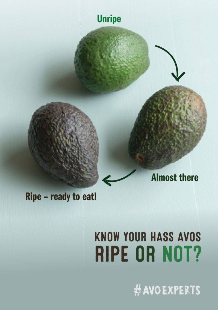 Чем отличается авокадо хаас от зеленого: что это такое и как выбрать черный, обычный сорт