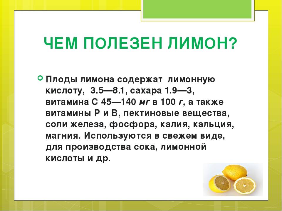 Польза и вред лимона для организма человека