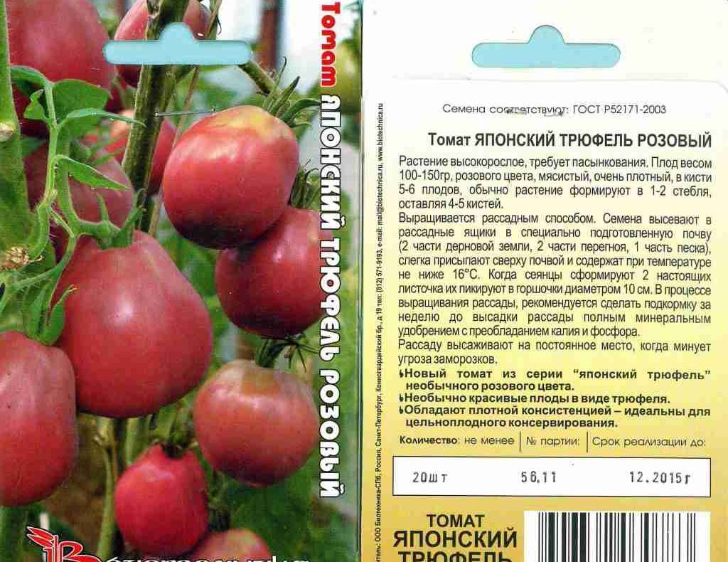 Томаты "желтая карамель" f1: выращивание, особенности, транспортировка, достоинства и недостатки помидор русский фермер