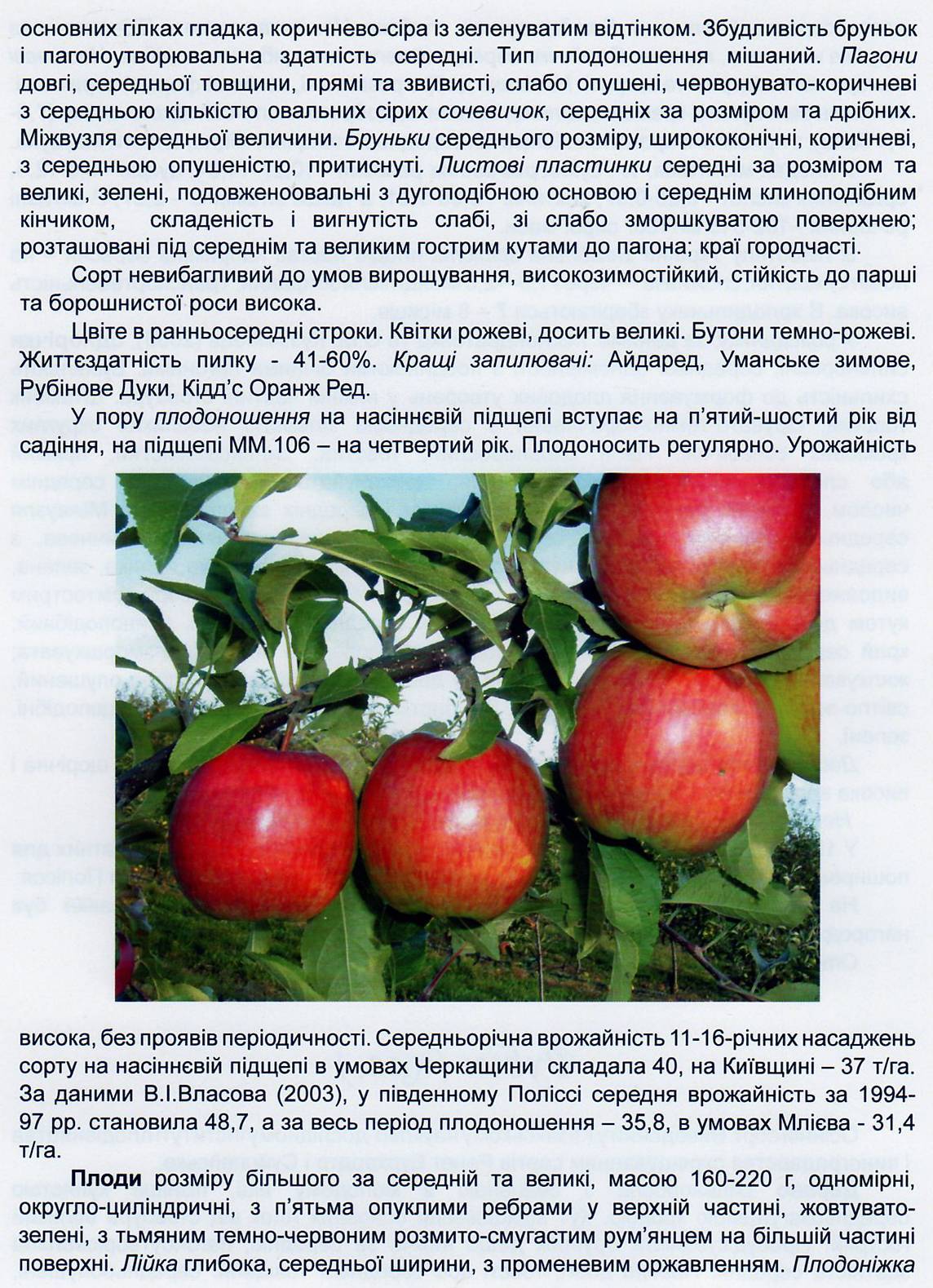Описание и характеристики яблок сорта Айдаред, тонкости выращивания