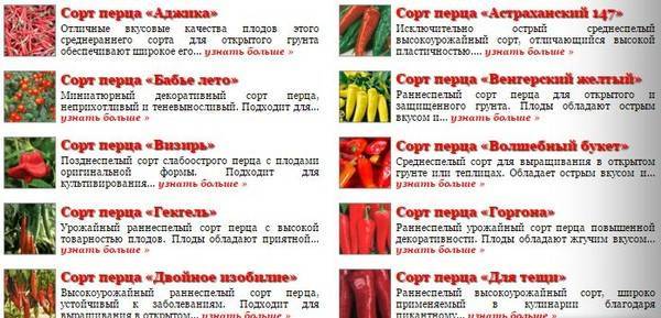 Сорта острого перца ?: виды, семена для открытого грунта, фото с описанием | qlumba.com