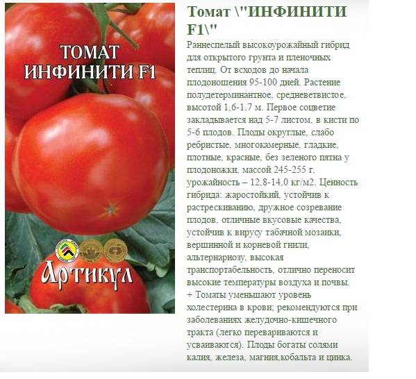 Описание сорта томата работяга, особенности выращивания и ухода