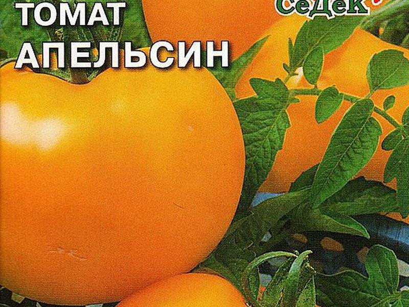 Томат апельсин: описание и характеристика сорта, особенности выращивания и ухода, отзывы тех, кто сажал, фото