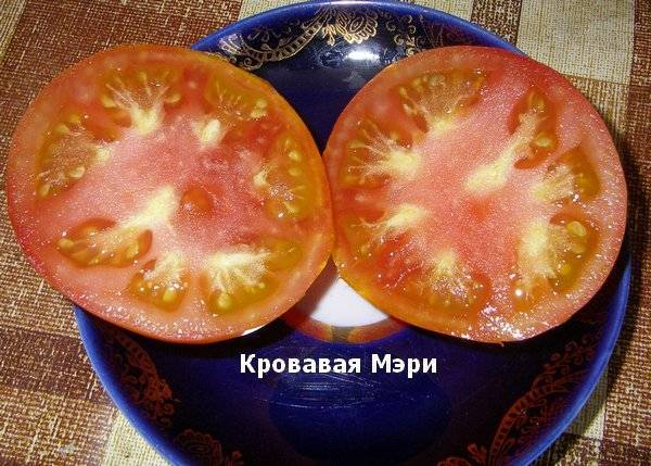 Полюбившийся многим огородникам томат — кровавая мэри: описание и характеристика сорта
