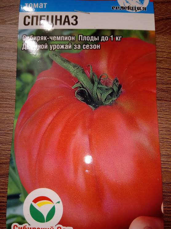 Лучшие сорта томатов для ленинградской области