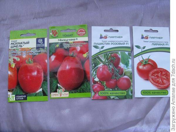 Описание томата мохнатый кейт, агротехника культивирования и выращивание сорта